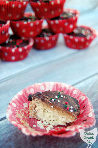 Get everything you love about Christmas Crack candy in a bite. Just as addicting as the original but easier to store and give away to friends & family