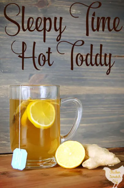 This twist on an old fashioned remedy may not cure your cold but it will certainly make it more bearable. Knock yourself out with a Sleepy Time Hot Toddy and sleep off what ails you