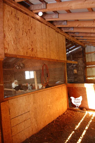 chicken coop in a barn with hardware cloth over the windows