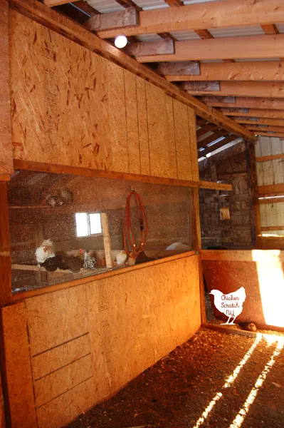 I will always use lights in the chicken coop and it has nothing to do with eggs! Northern winters are cold, dark, and miserable. Find out why and how I use lights in the coop for healthier birds all winter long