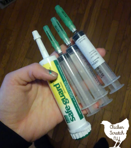 three syringes and one tube of oral horse wormer