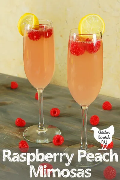 two raspberry peach mimosas in champagne flutes with lemon slices and red raspberries