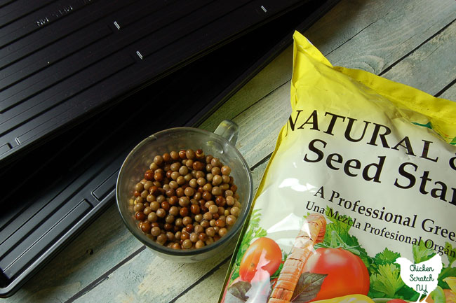 black seed starting trays, seed starting mix and a clear cup full of soaked pea seeds