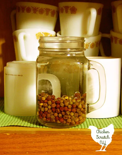 pea seeds soaking in a mason jar cup in a cabinet