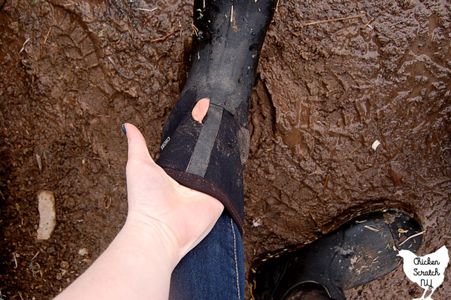 ripped muck boot after alpaca attack