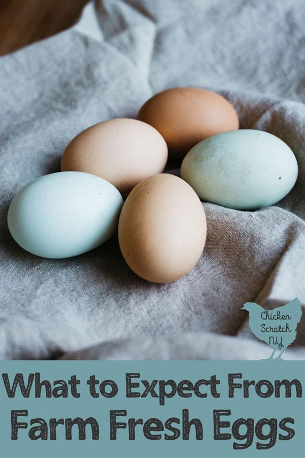 Do farm eggs need to be refrigerated