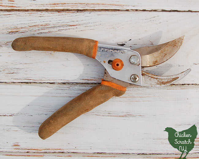 hand pruners