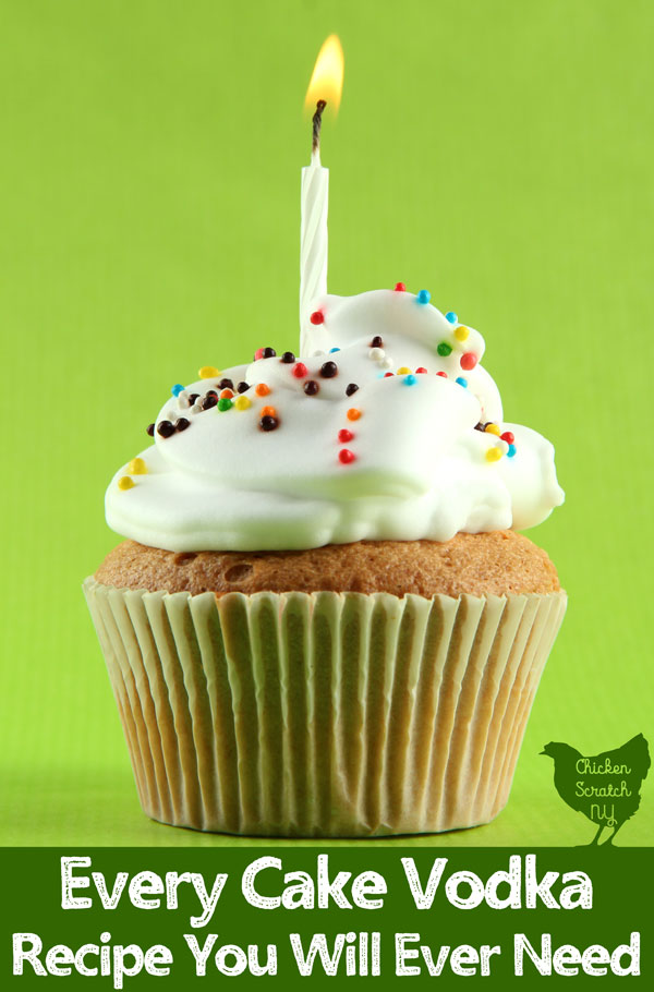cupcake with candle and text overlay for every cake vodka recipe you'll ever need