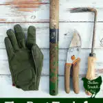 garden glove, garden cultivator, hand pruners, cape cod weeder