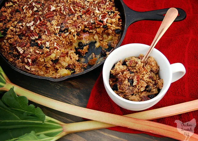 Rhubarb Baked Oatmeal with Blueberries & Pecans