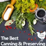 collection of canning and preserving ingredients scattered across a grey surface with text overlay best canning and preserving books for the homestead kitchen