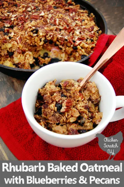 baked oatmeal with rhubarb, pecans and blueberries in a cast iron skillet with a scoop in a white cup with a copper spoon, on a red towel and rhubarb stalks on a grey stained wooden board