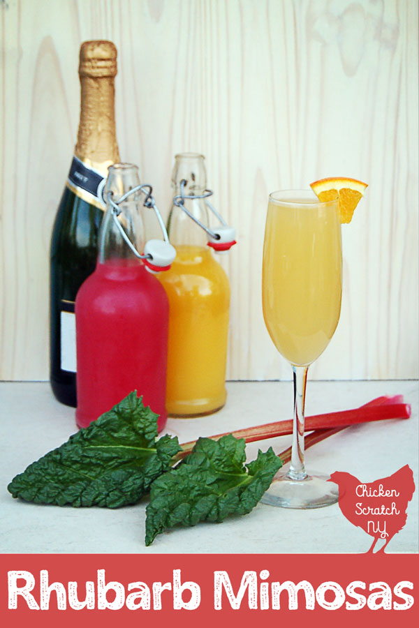 champagne, orange and rhubarb juice in flip top bottles, champagne glass filled with rhubarb mimosa with orange garnish with two stalks of rhubarb