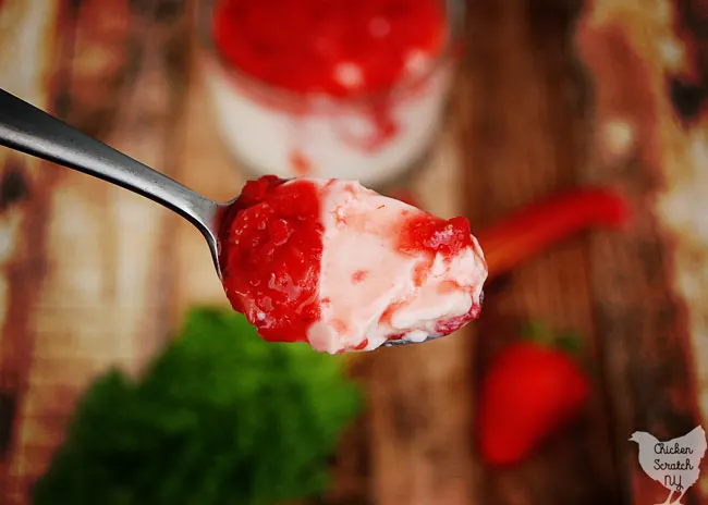 strawberry rhubarb panna cotta