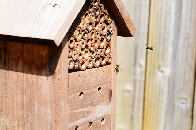 mason bee house with flying bees