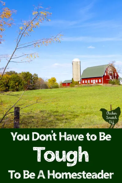 red barn overlooking green field with blue sky