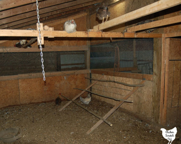 folding chicken roost in chicken coop