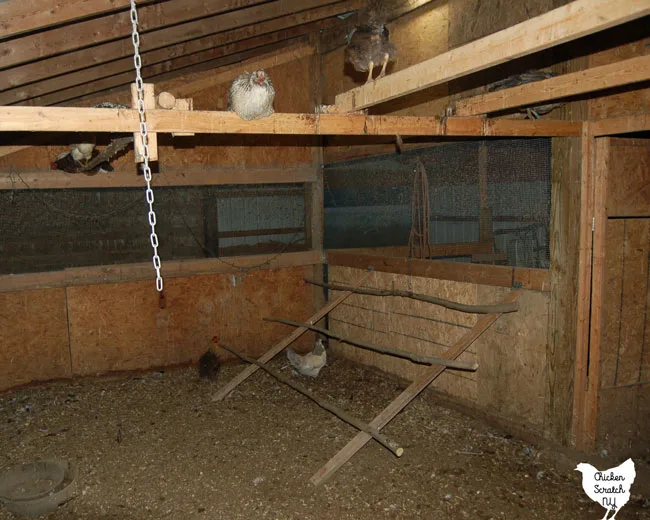 folding chicken roost in chicken coop 