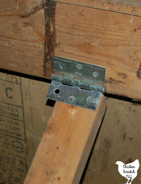 hinges for folding chicken roost