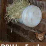 hay feeder made from a barrel