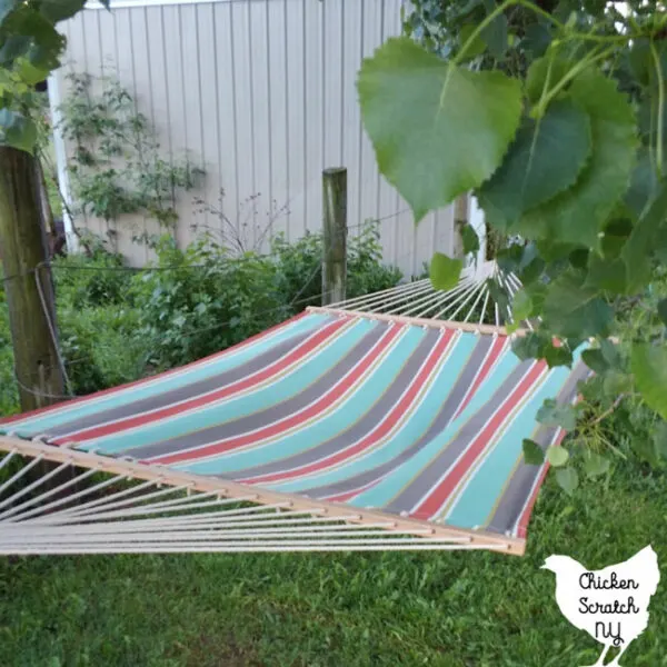 striped hammock hanging between two trees