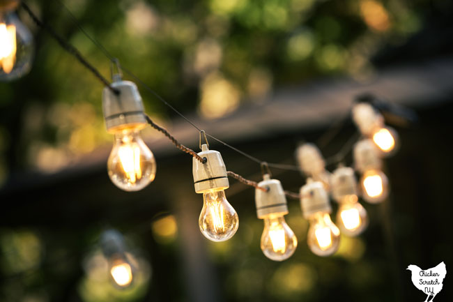 string of hanging solar lights in a garden setting
