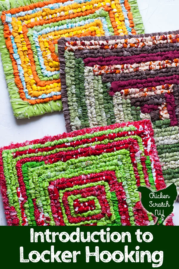 Latch Hook Kits for Adults Color Printed DIY Rug Carpet Needlework for Home  Lying 