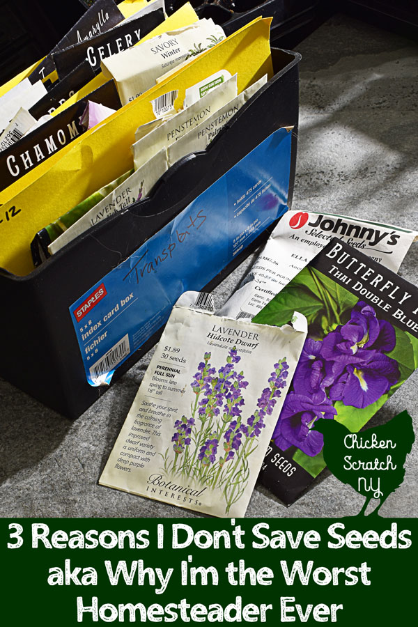 box of seeds with three packages of seeds from Fedco, Baker Creek Heirloom Seeds and Botanical Interests with text overlay Why I don't save seeds