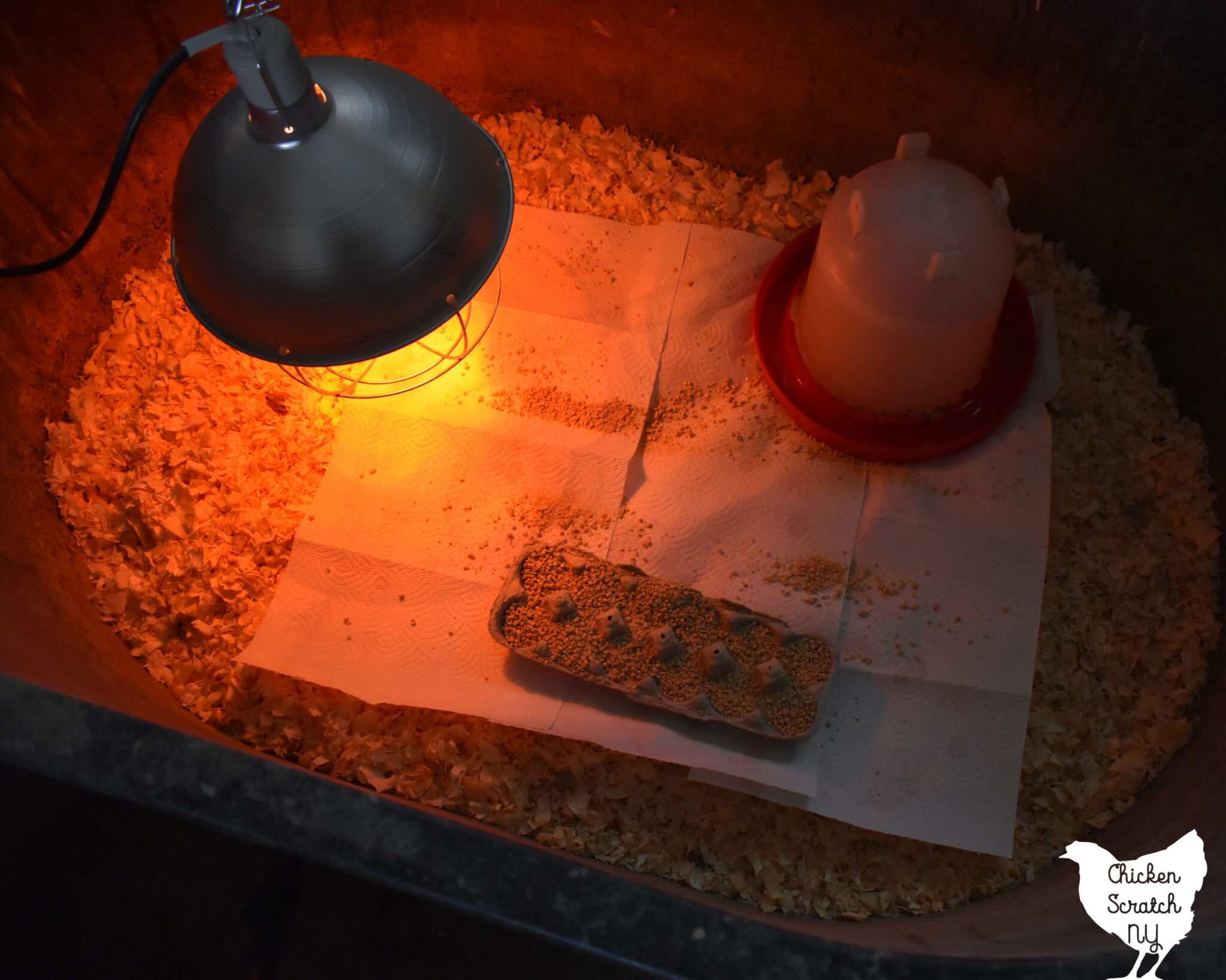 chick brooder configurado com lâmpada de calor, waterer e bandeja de alimentos