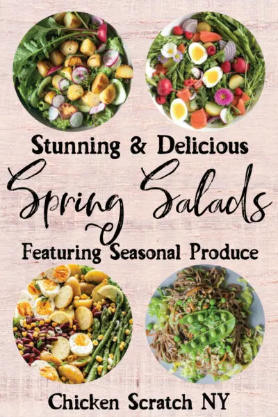 four differerent spring salads featuring seasonal ingredients