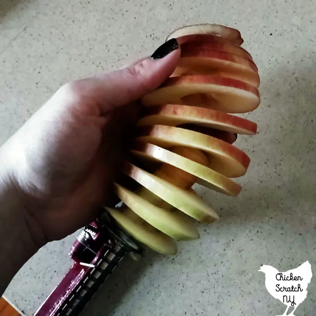apple slinky being pulled of the apple closre after running it through apple peeler corer slicer without peeler