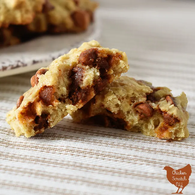 cinnamon oatmeal cookie with applesauce, cardamom, ginger, allspice and nutmeg