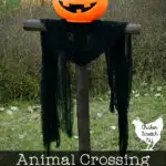 animal crossing new horizons spooky scarecrow DIT