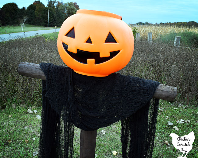 spooky scarecrow from animal crossing cloe up target bucket head