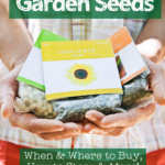 hands holding three packets of seeds with text overlay "all about garden seeds. When & where to buy, how to store and more"