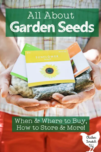 hands holding three packets of seeds with text overlay "all about garden seeds. When & where to buy, how to store and more"