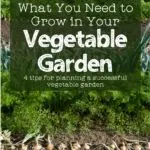 wide view of a vegetable garden showing several rows of crops with text overlay: what you need to grow in your vegetable garden - 4 tips for a successful garden without getting overwhelmed