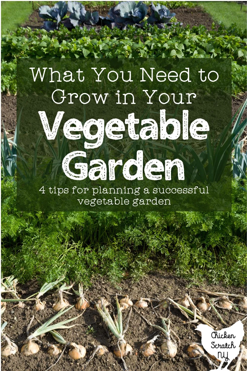 wide view of a vegetable garden showing several rows of crops with text overlay: what you need to grow in your vegetable garden - 4 tips for a successful garden without getting overwhelmed