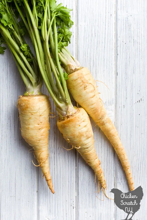 three parsnips with greens on a wooden surface