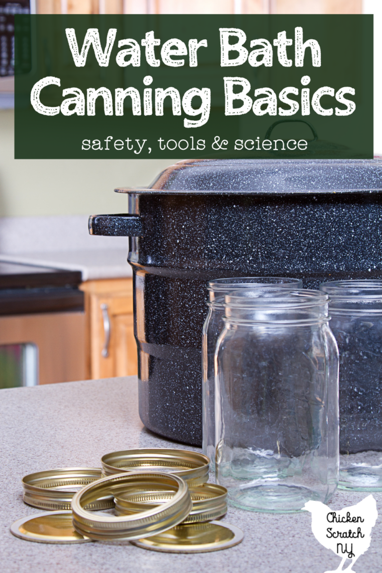 What is Water Bath Canning & Is it a Safe Way to Preserve Food?