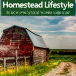 red barn in a field with text overlay "understanding the homestead lifestyle"