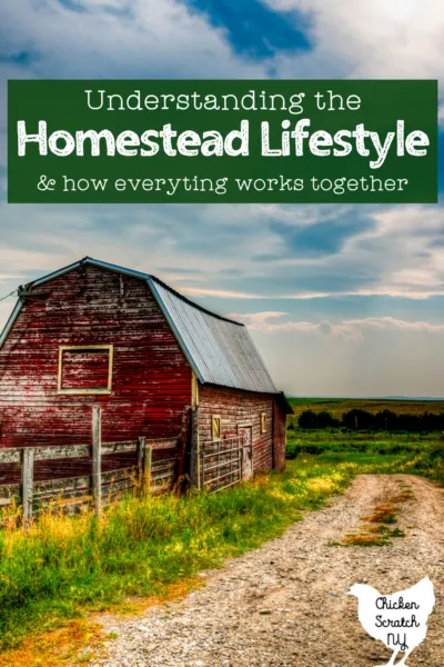 red barn in a field with text overlay "understanding the homestead lifestyle"