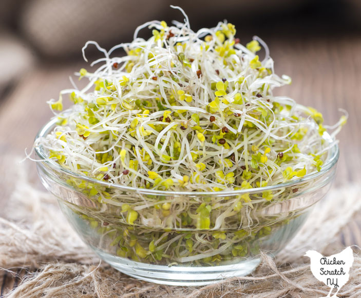 glass bowl filled with broccoli sprouts