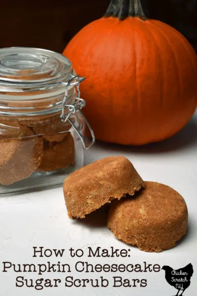 pumpkin cheesecake sugar scrub bars