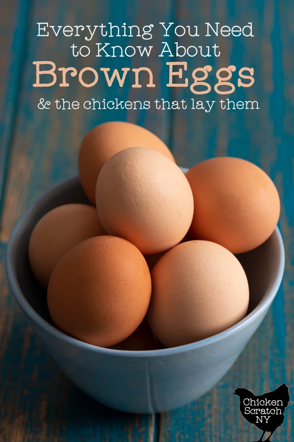 dark brown chicken eggs