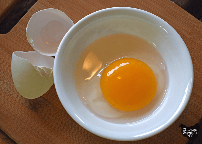 white cereal bowl holding a single cracked goose egg showing how large the yolk is