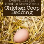 straw in a nest box with a single brown egg text overlay Everything you need to know about Chicken Coop bedding